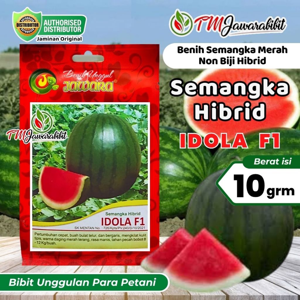 BENIH SEMANGKA MERAH HIBRID IDOLA F1 PRODUK ASLI JAWARA SEMANGKA UNGGUL JAWARA (NON BIJI) 10 GRAM