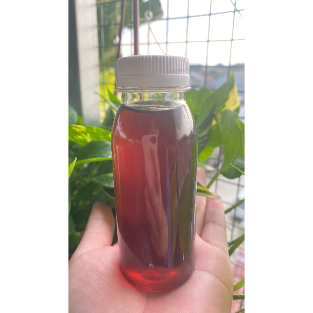 

MADU ASLI HUTAN SUMATERA || 100ml || 200ml || 250ml || 500ml