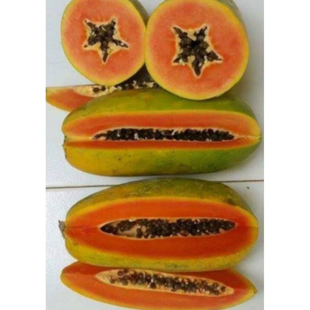 

Buah Pepaya California Segar 1 Buah
