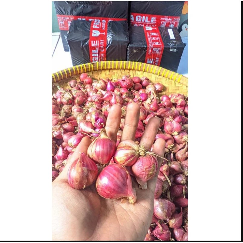 

Bawang Merah Brebes 1kg - Bawang Dapur Segar Kualitas Terbaik
