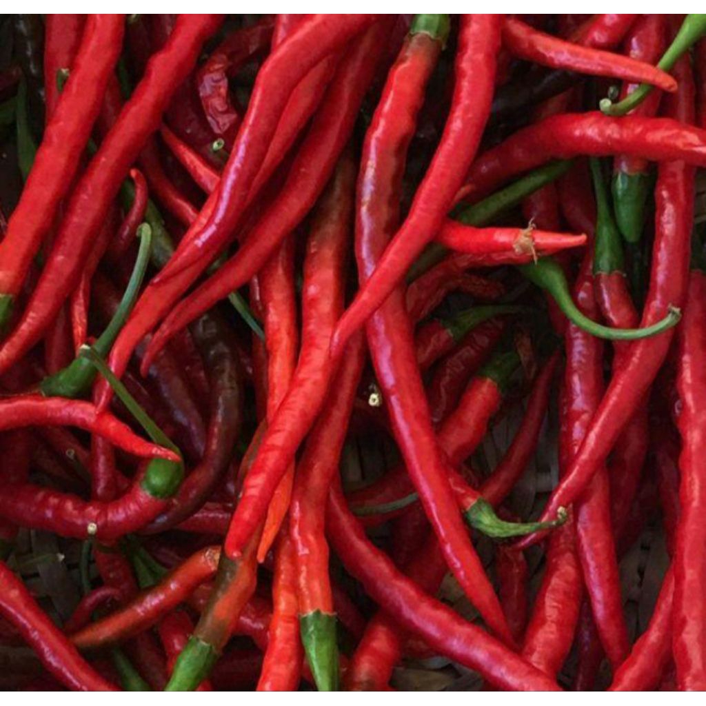 

cabe merah keriting 500gram