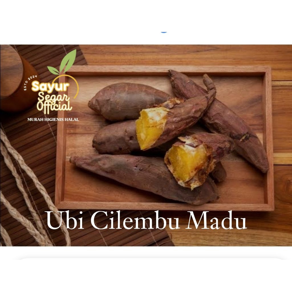 

Ubi Celembu Mateng OVEN 0,5 kg /1kg - Kirim Instan