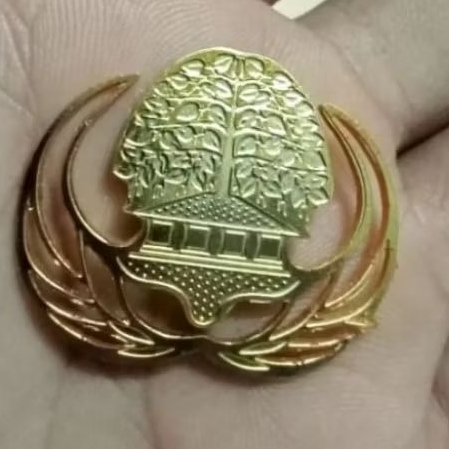 Pin Kuningan Korpri  ASN Bolong  Terbaru