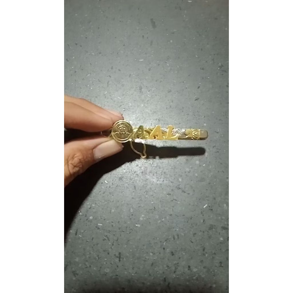 Penjepit Dasi Pesiar Taruna Akmil Akademi Militer, Aau Akademi Angkatan Laut, Aal Akademi Angkatan L