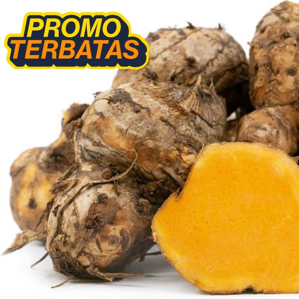 

TEMULAWAK SEGAR 1 KG PROMO REMPAH RIMPANG OBAT ASAM LAMBUNG KURKUMIN MENAMBAH NAFSU MAKAN JAMU SEHAT
