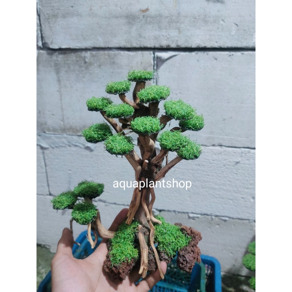 bonsai aquascape moss sintetis