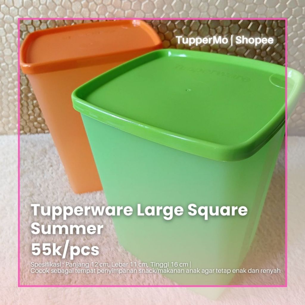 Large Square  Summer Tupperware Ori