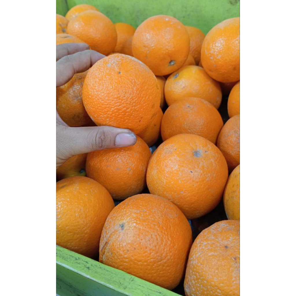 

Jeruk Sunkist 1kg/1000 gram