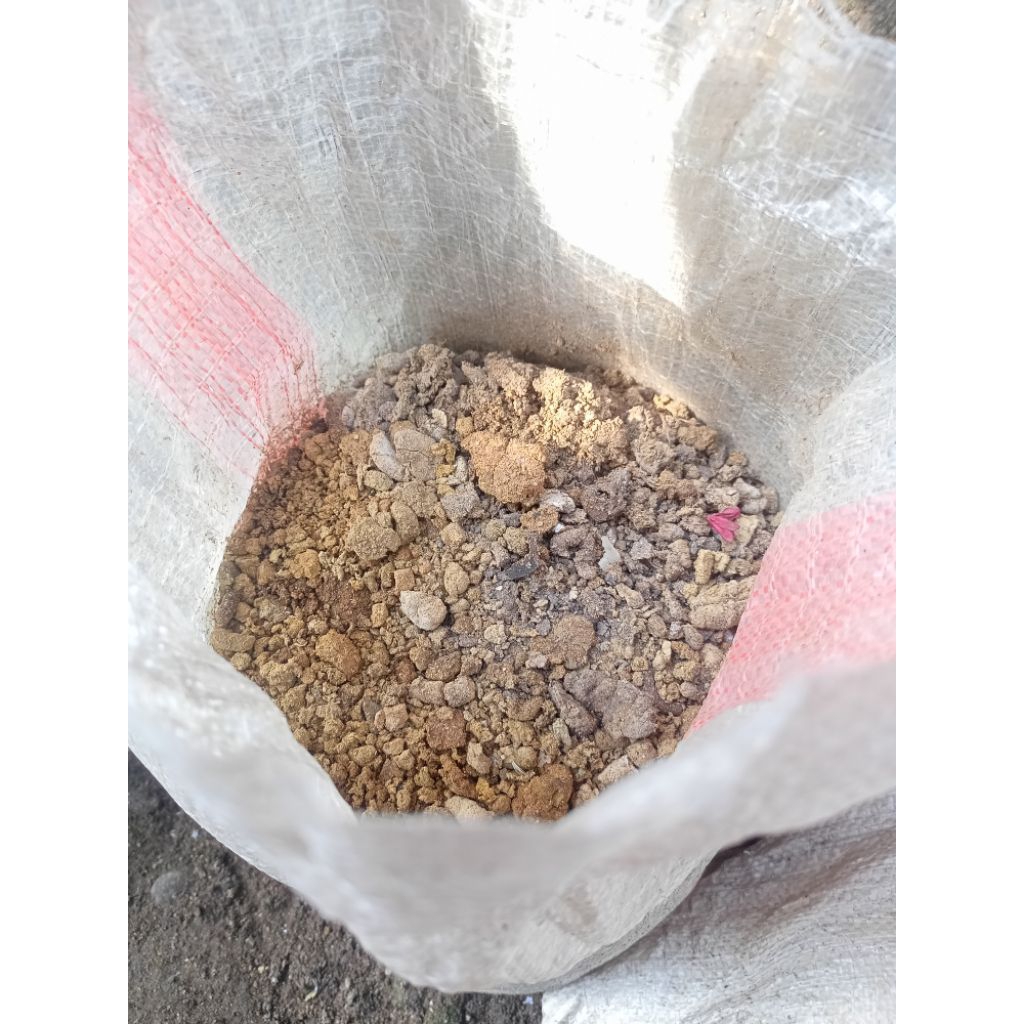 pupuk kandang kotoran ayam