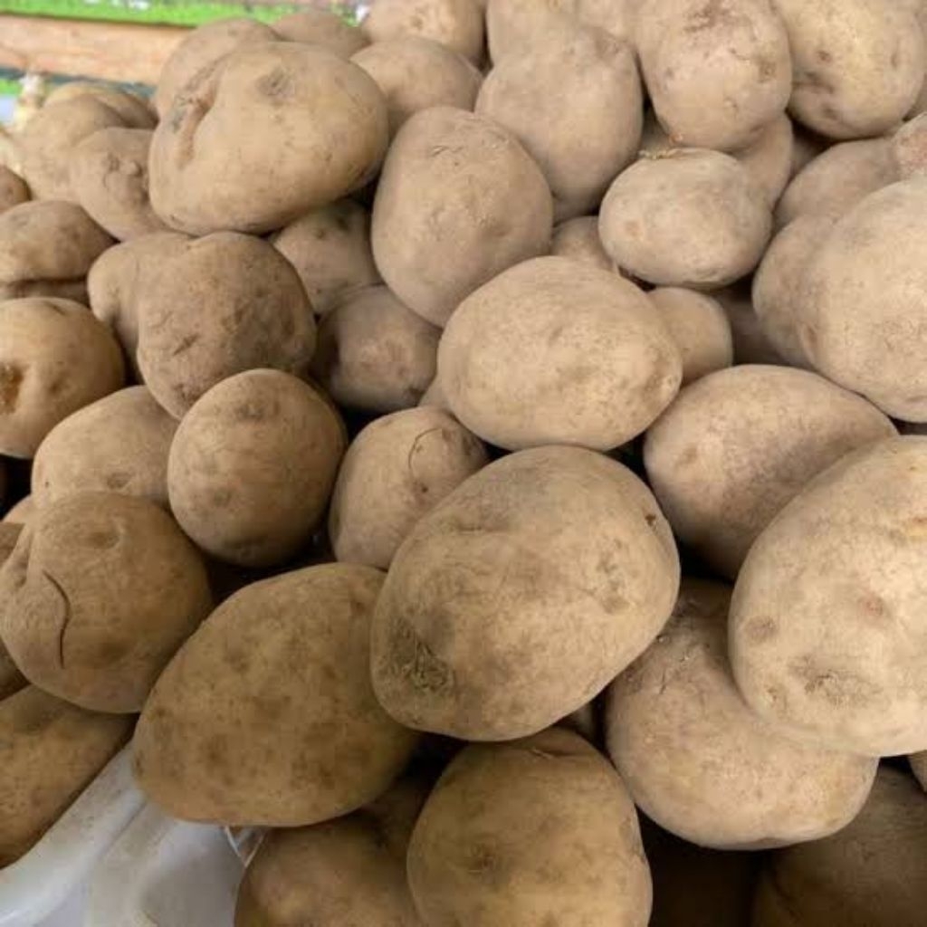 

Murah No.1 Kentang Sedang/Medium 500gr