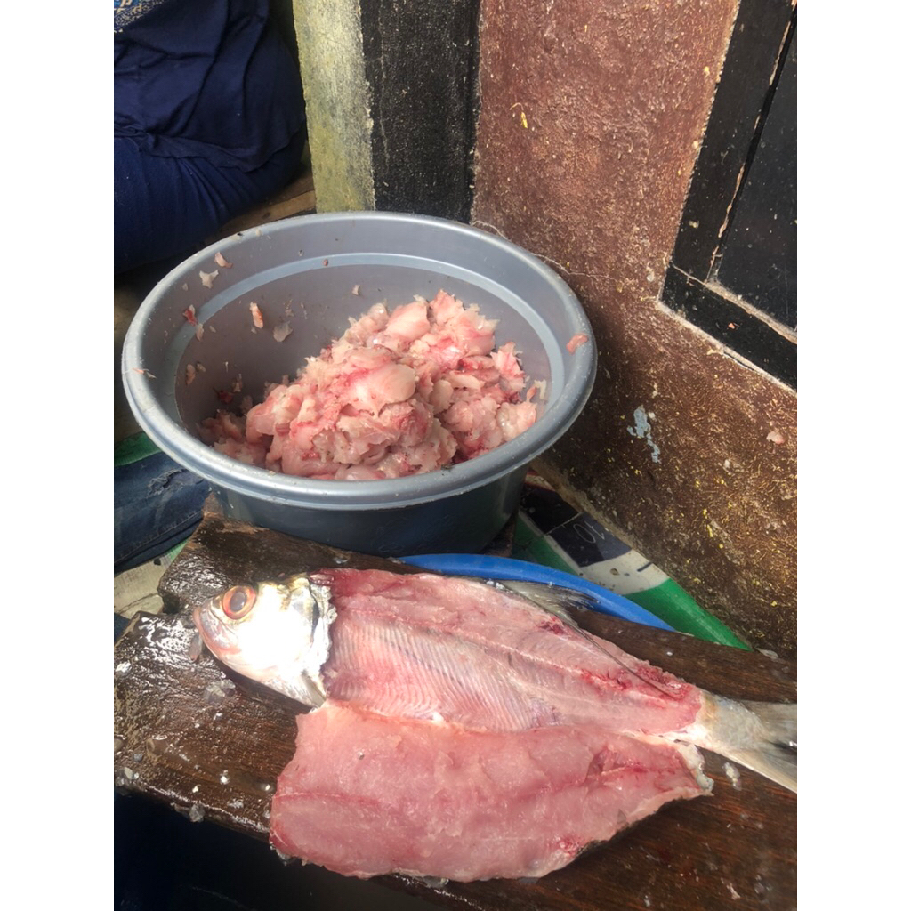 

daging giling ikan bulan-bulan