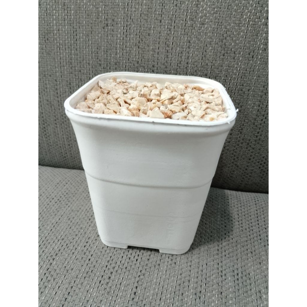 COD pot sofi batu / pot plastii kotak tebal