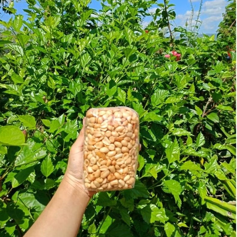 

Kacang bawang goreng 500 gr COD asli Wonogiri