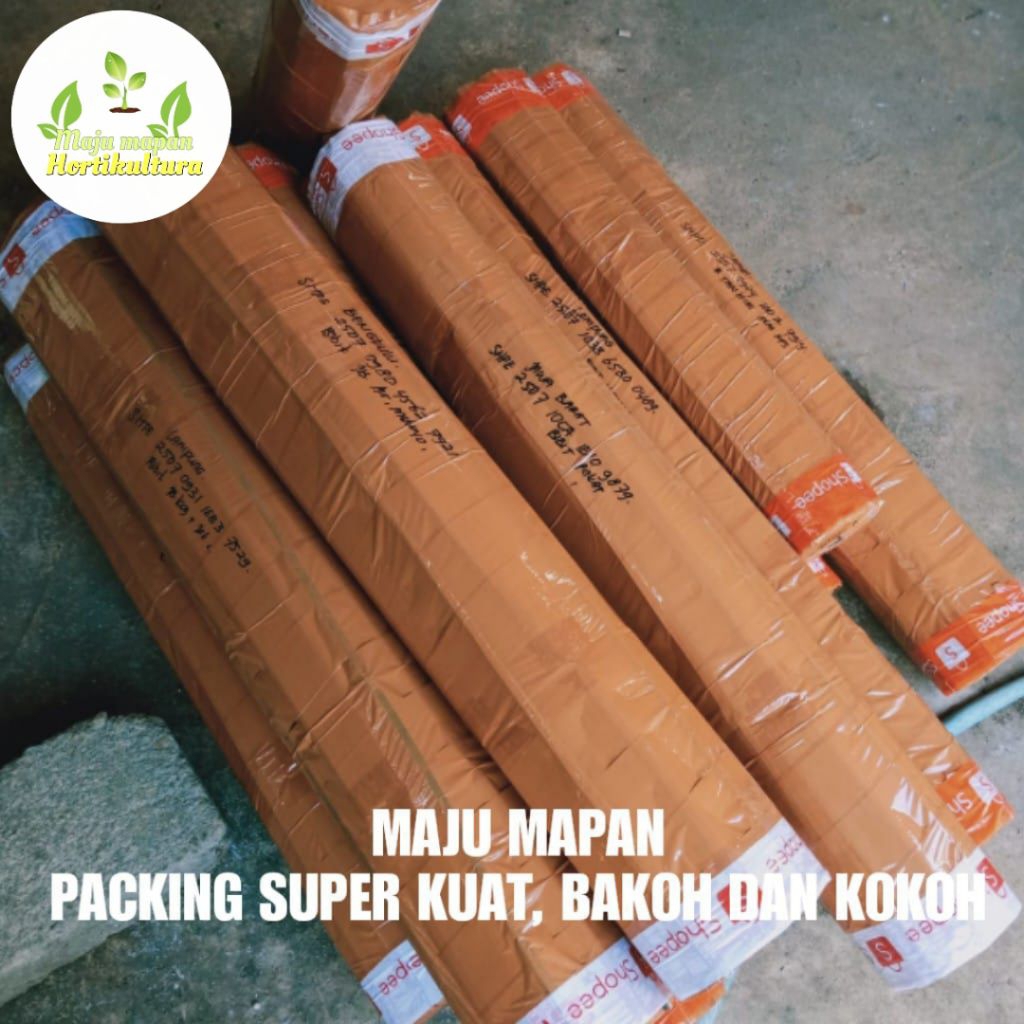 

PACKING SUPER KUAT, BAKOH DAN KOKOH