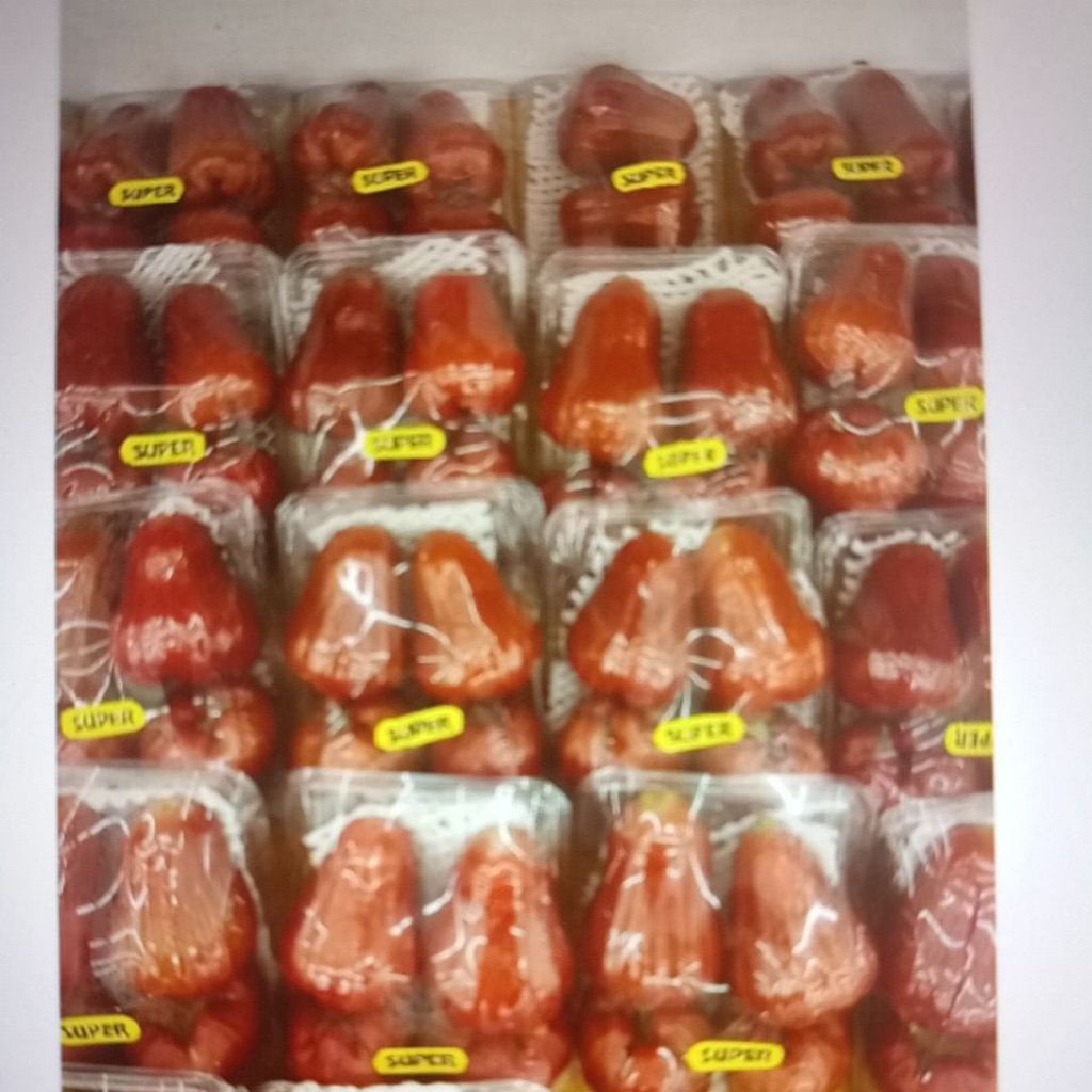 

jambu merah sweet/ jambu raja rose