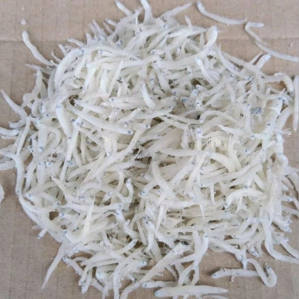 

teri nasi teri medan 1kg