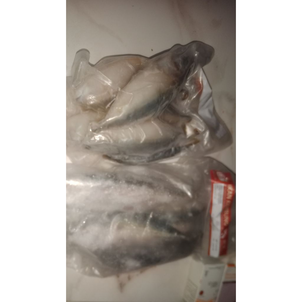 

ikan kembung DJ