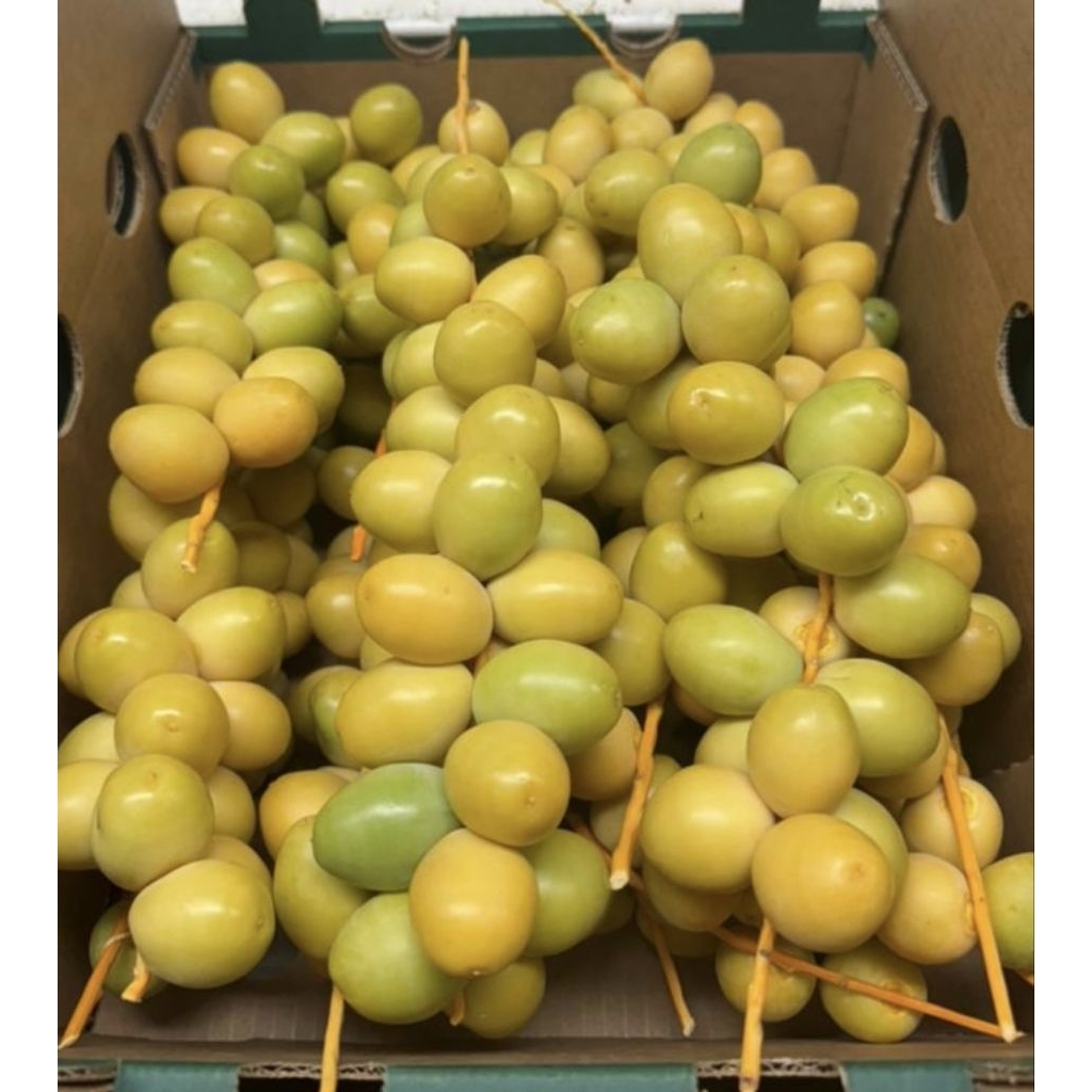 

Kurma muda Segar/ Fresh bukan beku bukan Frozen