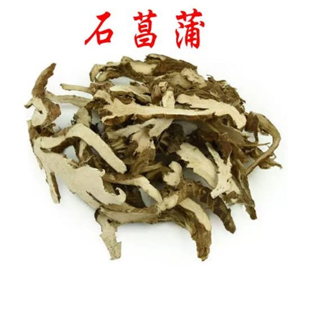 

100gr 石菖蒲 Shi Chang Pu Calamus Sweetflag Rhizome Acorus Tatarinowii