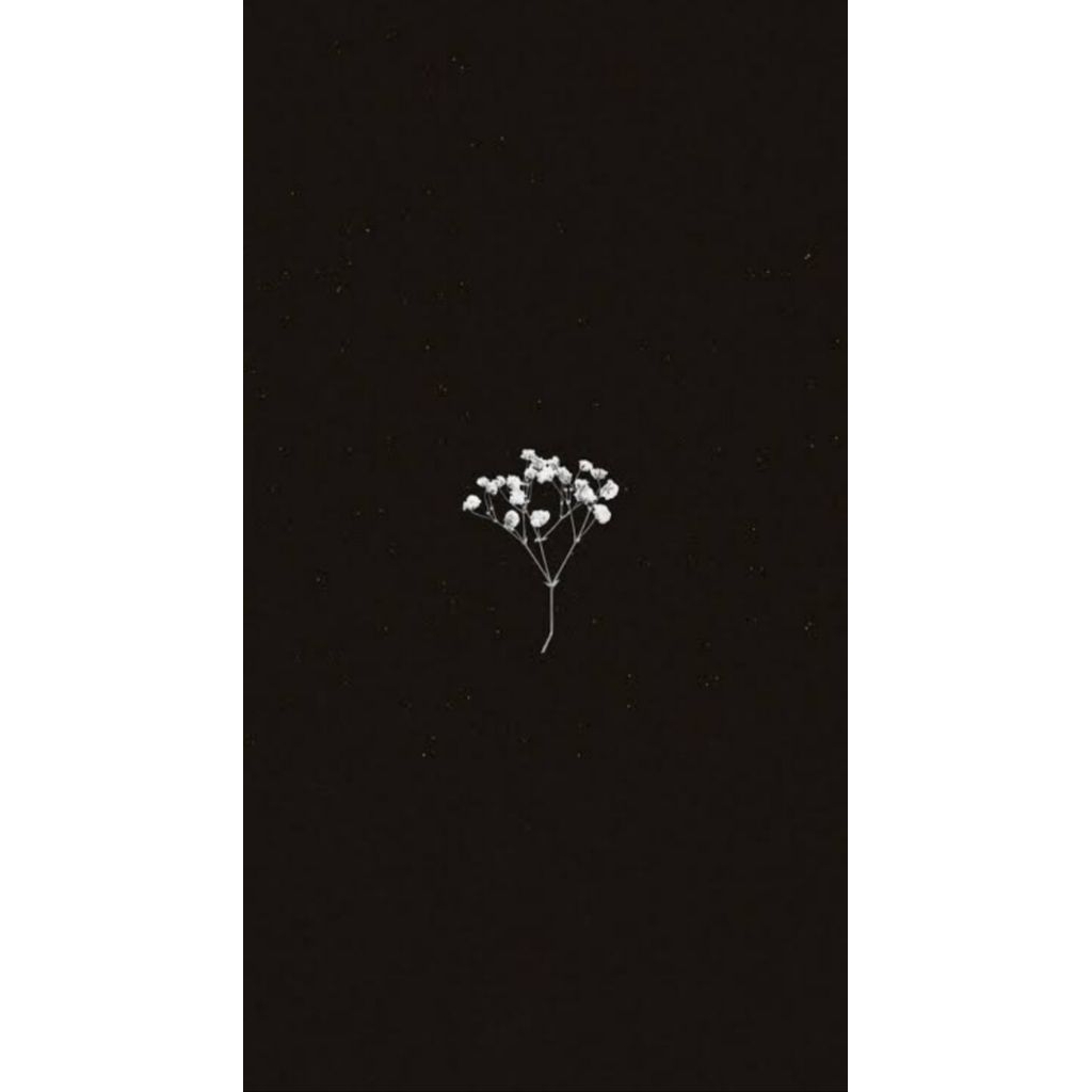 

kartu foto card murah