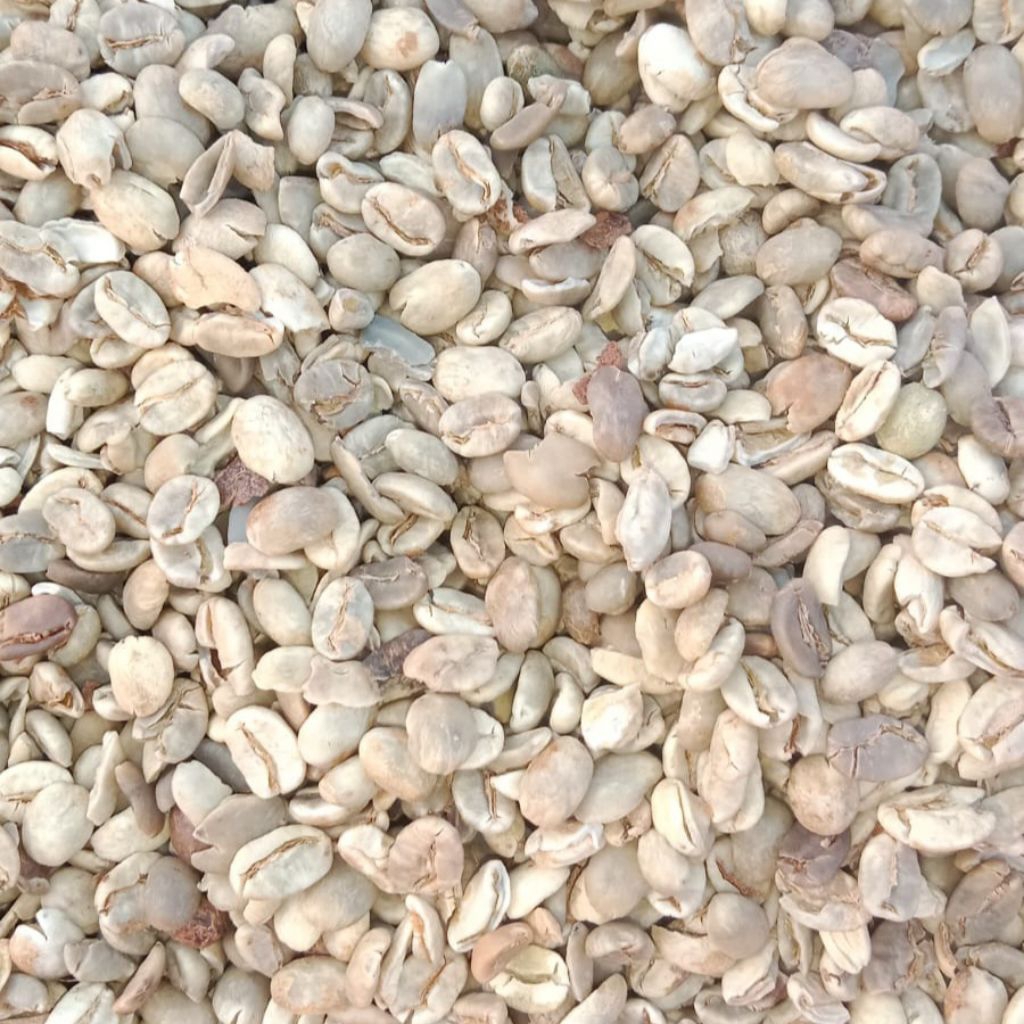 

Kopi Lereng Arjuno 1333 mdpl 1kg