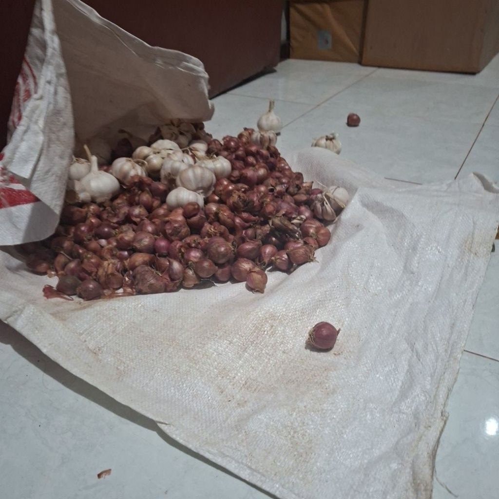 

bawang merah lokal hasil petani
