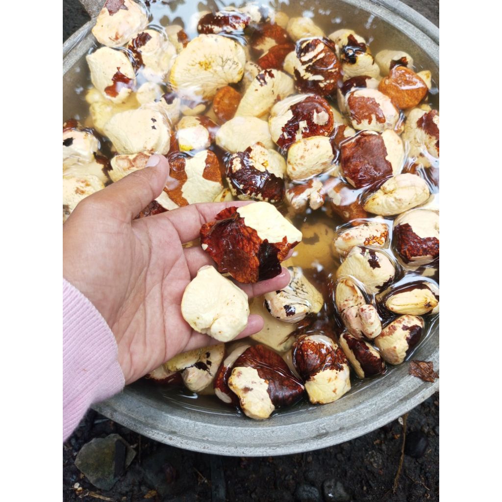 Gayam Kupas 500g