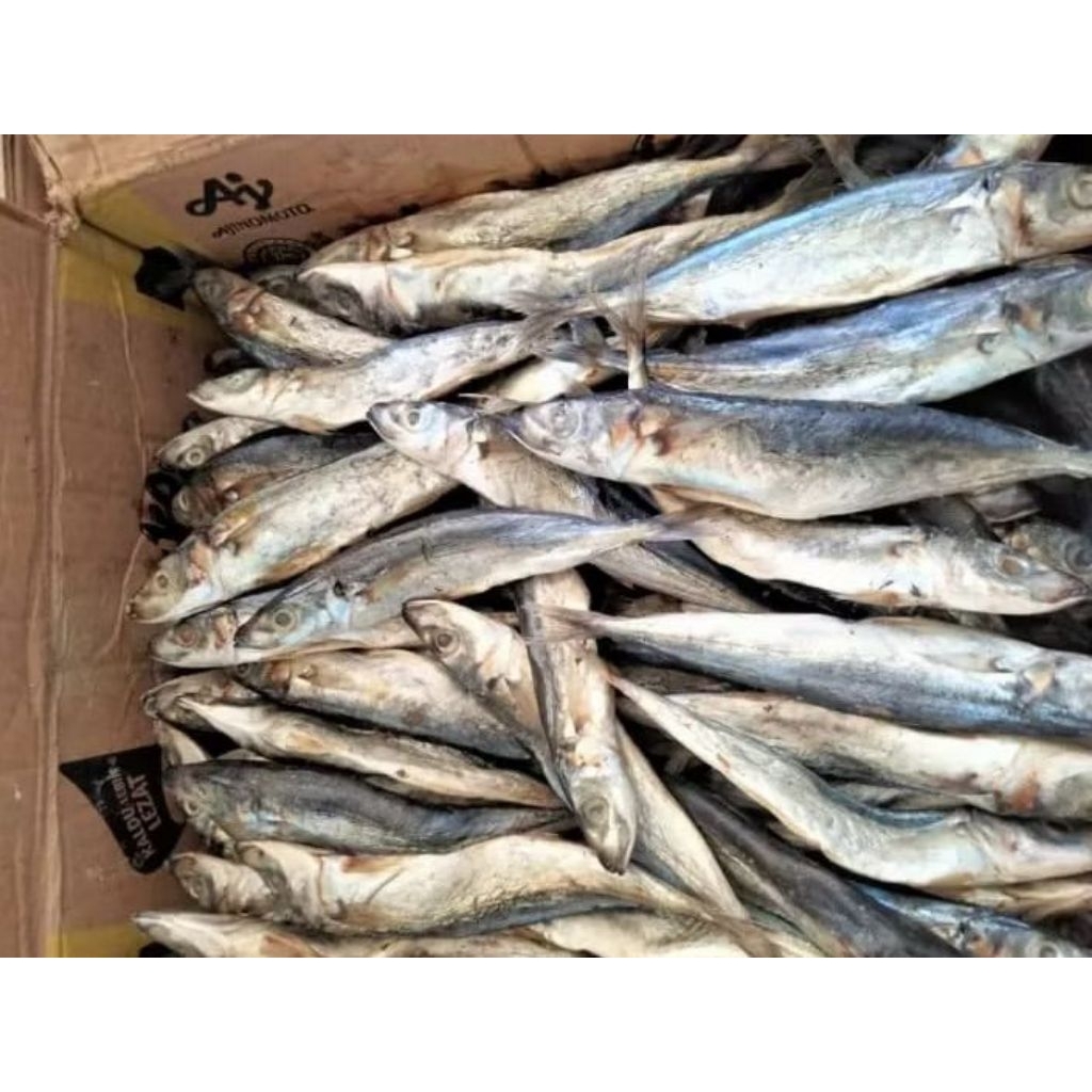 

ikan asin 2,5 ons ikan layang murah