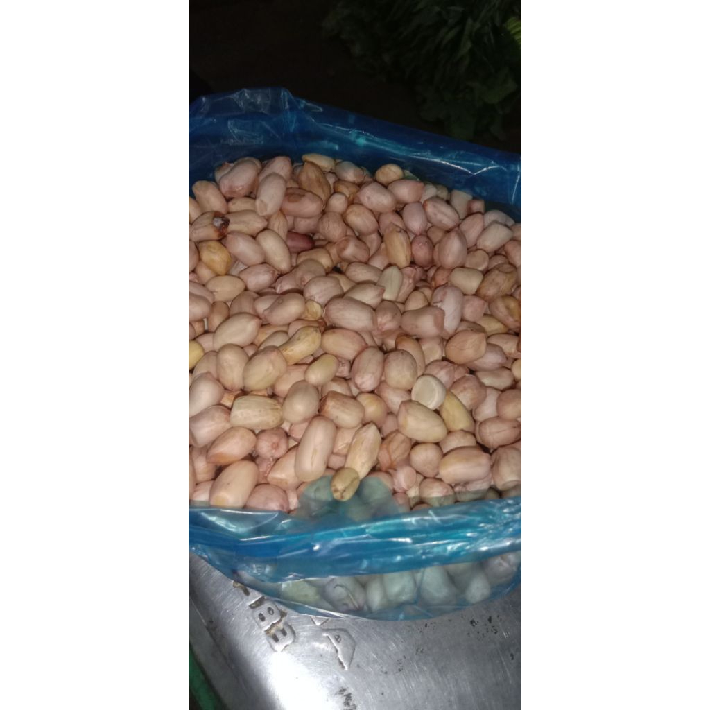 

KACANG Kupas Organik Fresh 1 Kg