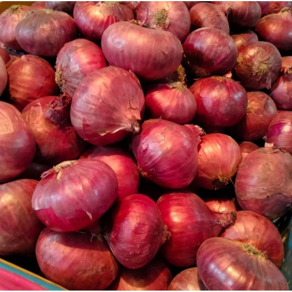 

Bawang Merah Super 1 kg Langsung Dari Petani