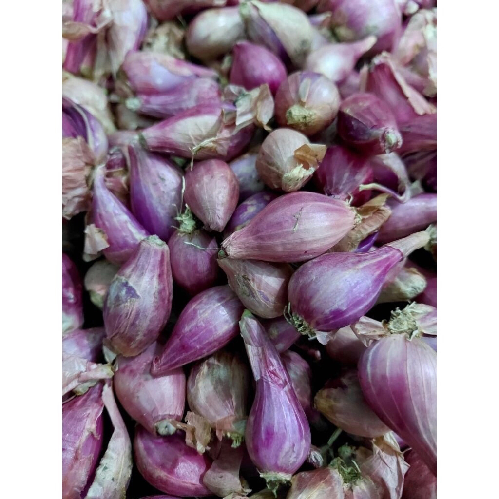 

BAWANG MERAH KECIL / BAWANG MERAH ULEKAN