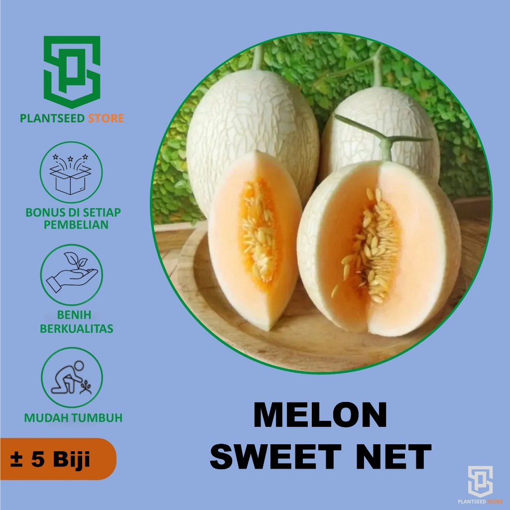 PlantSeed - 5 Benih Bibit Buah Melon Hidroponik Sweet Net