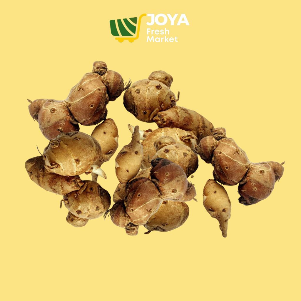 

Joya Fresh - Kencur Segar/Cikur/Rempah Segar
