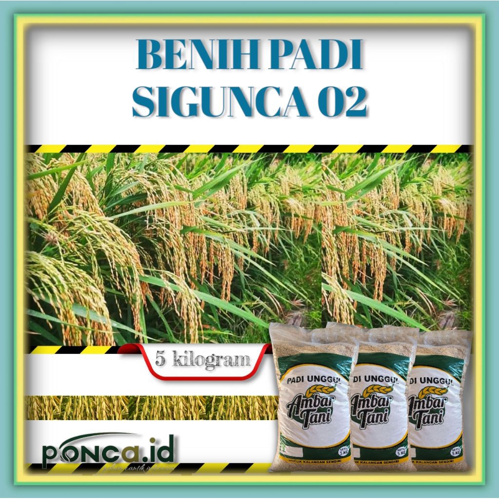 Benih Padi SIGUNCA 02 5KG