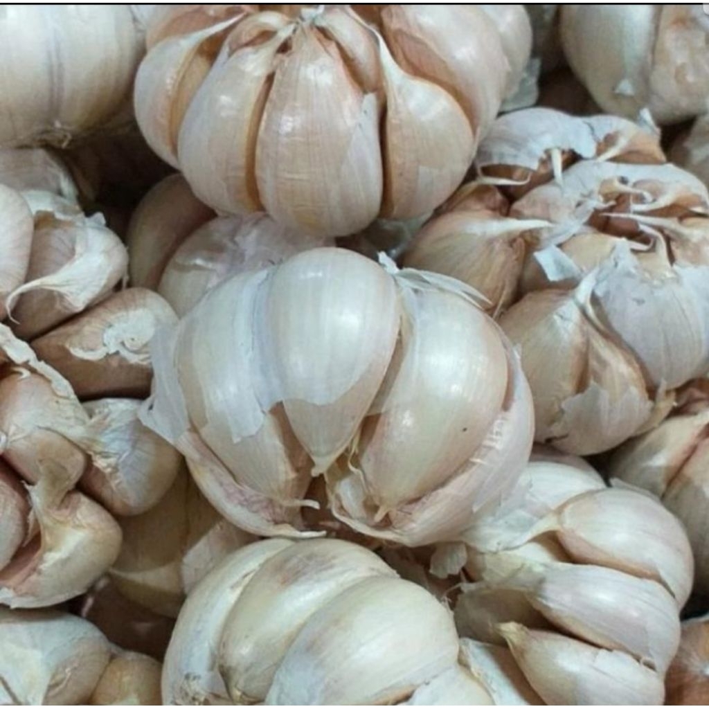 

Bawang putih per 250 gr