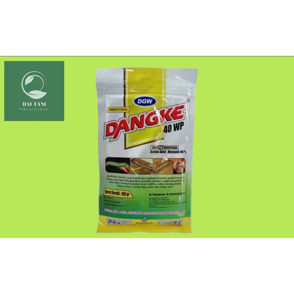 DANGKE 100 GRAM