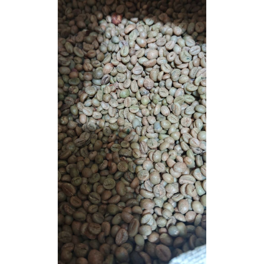 

Biji kopi petik merah