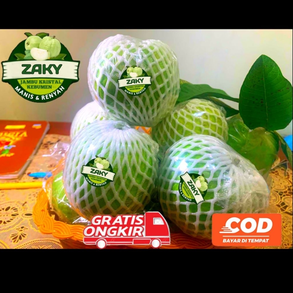 

Jambu Kristal Kebumen Kualitas Supermarket 1Kg fresh di petik sa'at mau di packing