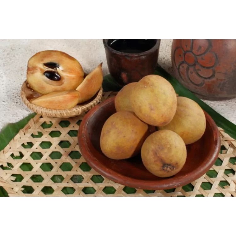 

Sawo Madu Super Manis & Legit 1KG– Daging Tebal, Lumer di Mulut, Fresh Langsung dari Kebun! SEGER