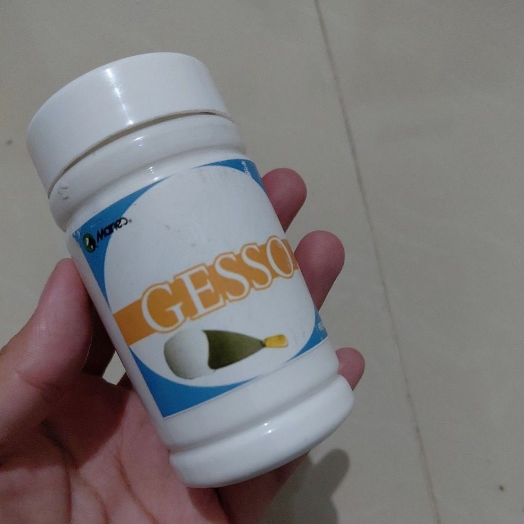 

Preloved Gesso Canvas Lukis