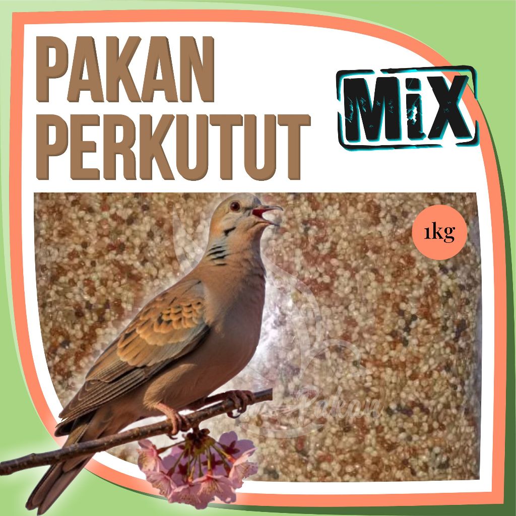 Pakan Burung Perkutut 1Kg Supaya Gacor Kiloan Jewawut Kenari Seed Kuaci Milet Kuning Merah Putih