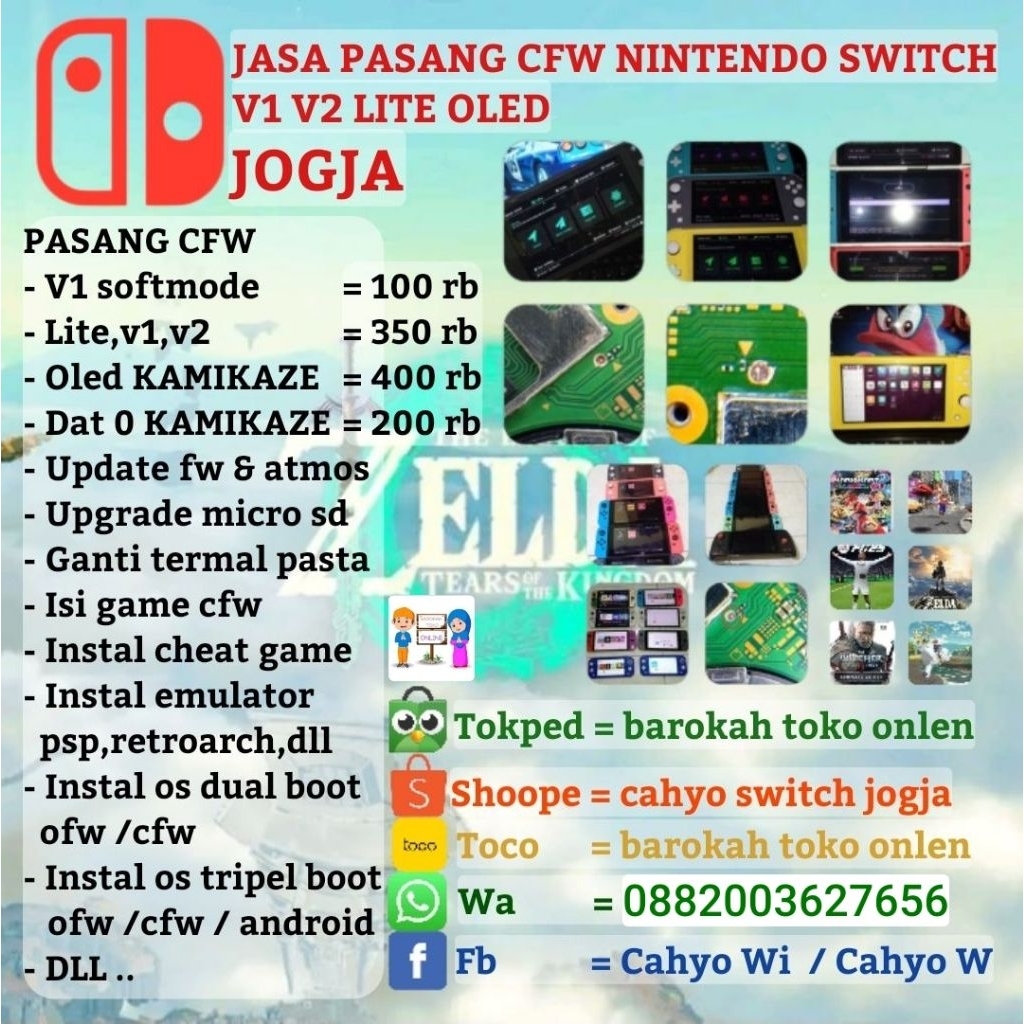 jasa cfw nintendo switch