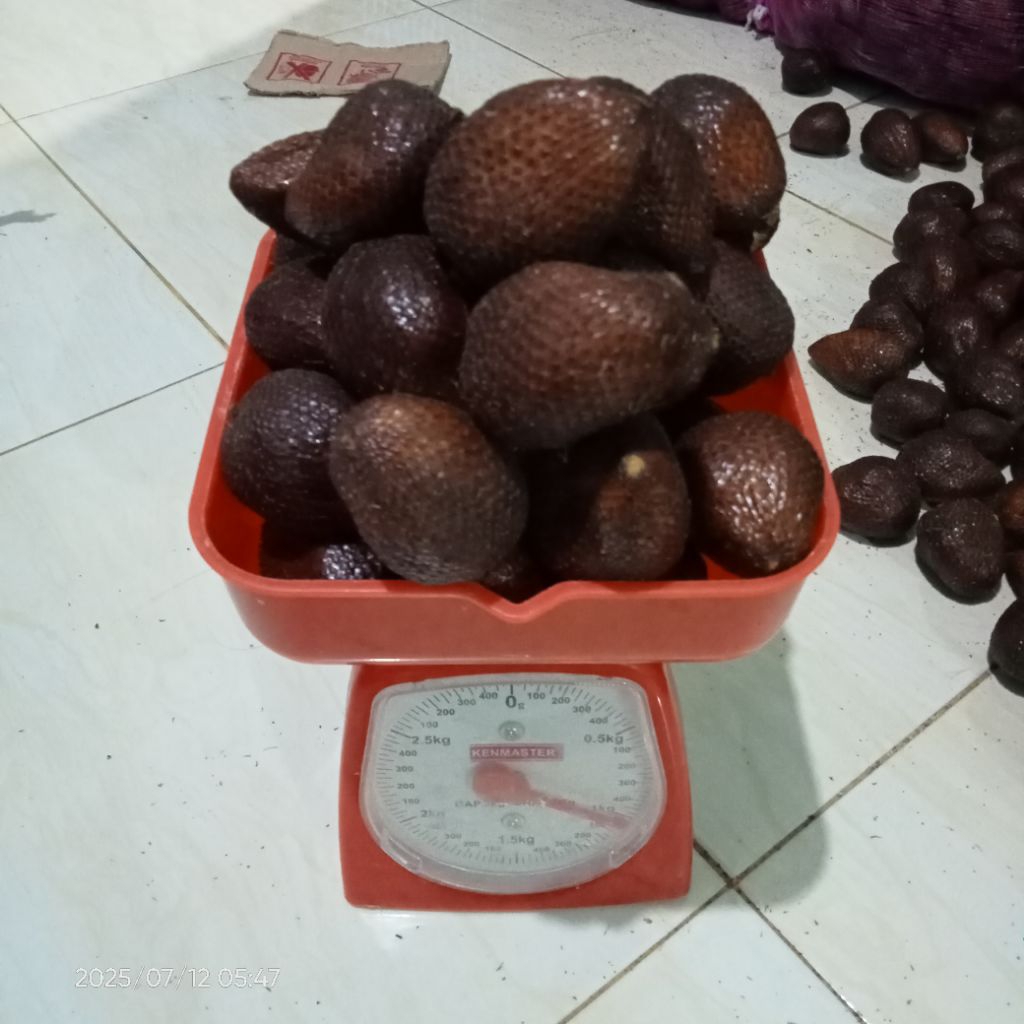 

salak pondoh