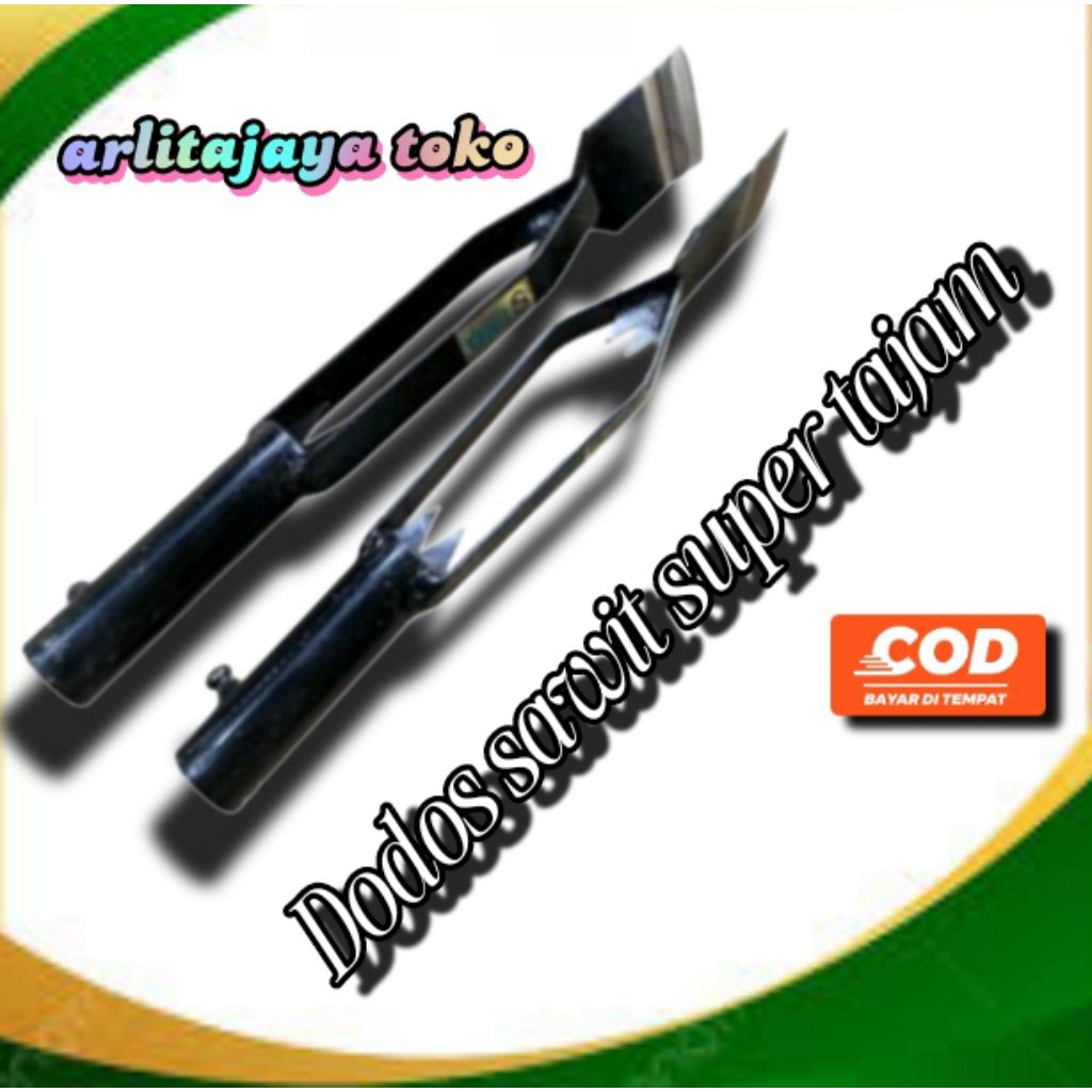 Dodos kastrasi sawit/ Dodos sawit original