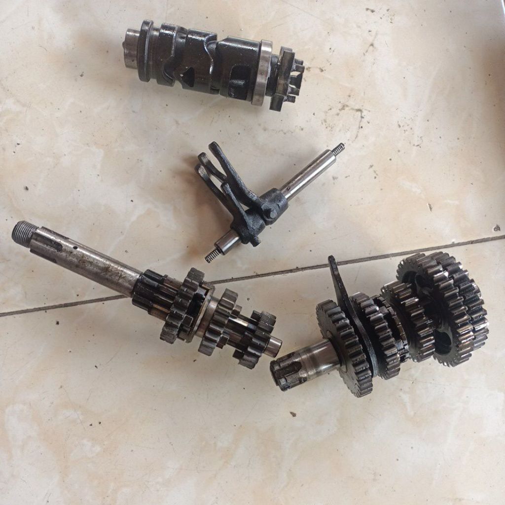 gigi rasio Vega r new Jupiter z