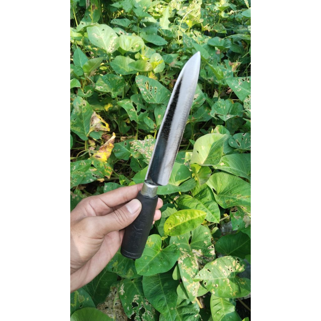 pisau daging pisau baja hss (puma super)