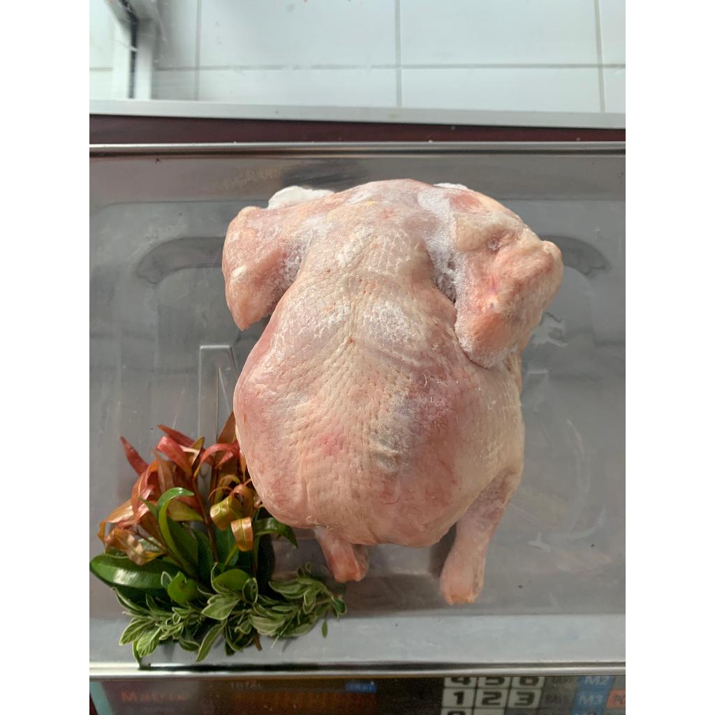 

Ayam Karkas Broiler / per ekor 500 gram / 600 gram / 700gram / 800gram/ 900gram/ 1kg