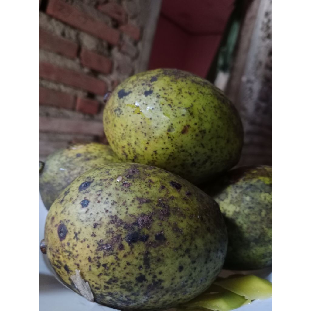 

Buah bacang / limus matang/kg