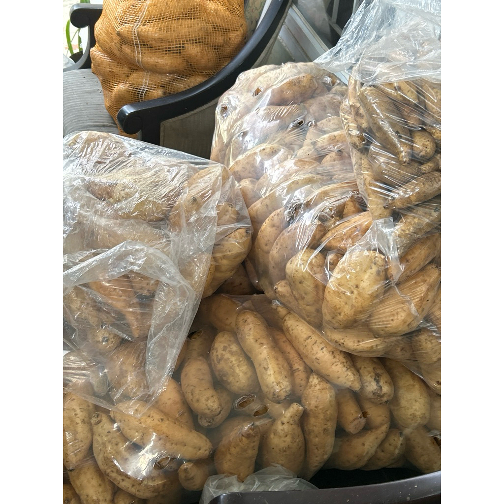 

UBI CILEMBU MADU MENTAH(mini) 1kg