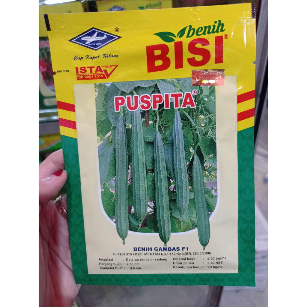 Benih Gambas F1 Puspita isi 75 Butir Cap Kapal Terbang Exp 05 2026